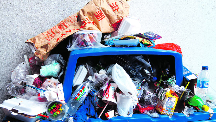 Singaporeans regularly waste food, survey finds