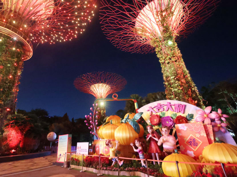 Prime Minister Lee Hsien Loong expressed his hope that marriage and birth numbers will come roaring back in the Year of the Tiger.