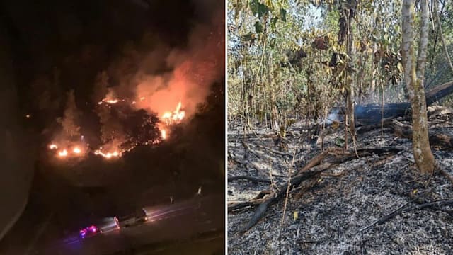 本地出现烟霾和烧焦味 马国媒体称或与新山林火有关