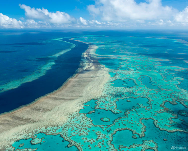 Australia pledges US$704 million to save Great Barrier Reef