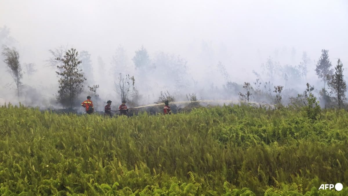 Indonesia turns to cloud seeding as forest fires burn 285,000 hectares