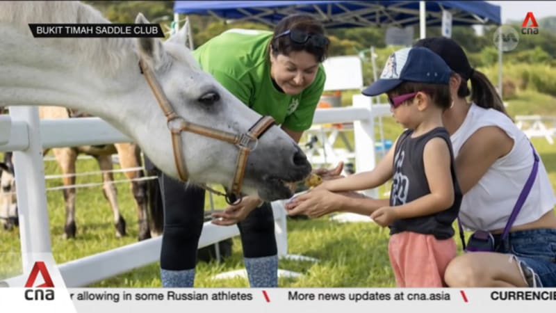 Riding schools in Singapore see around 15% increase in queries about sport
