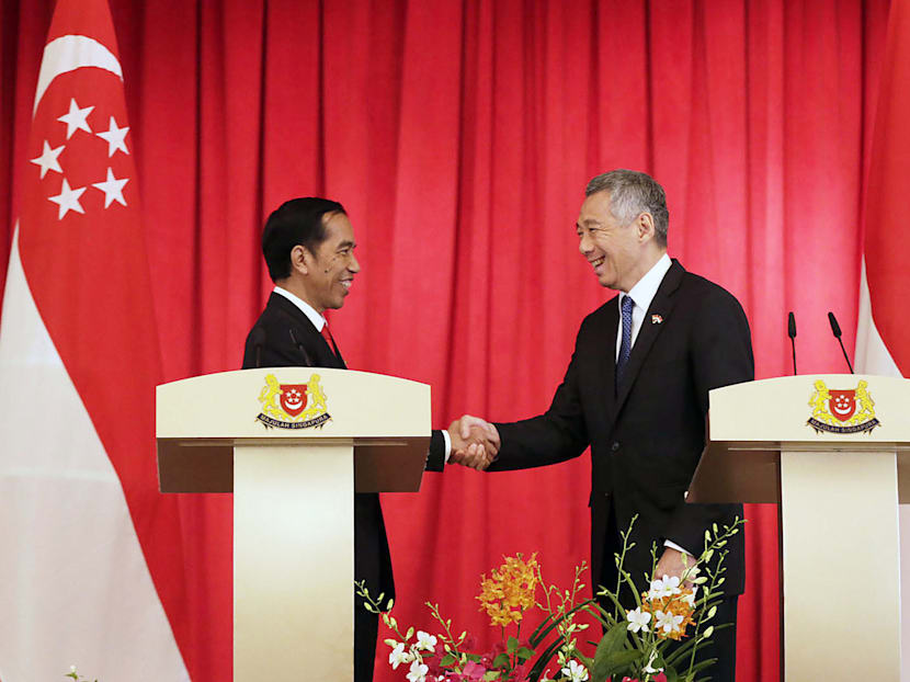 Heeding the lessons from 50 years of Indonesia-S’pore ties