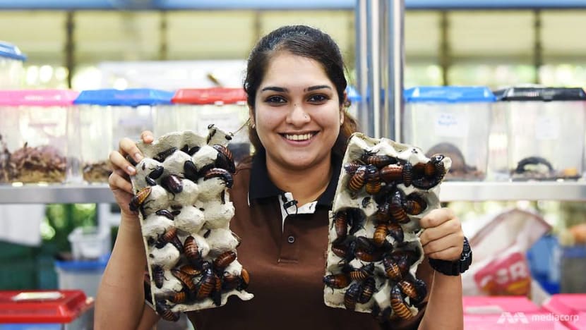 The English major who became an accidental zookeeper