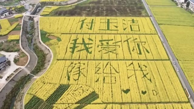 租农田“种”出九字求婚宣言 重庆男甜蜜迎娶心上人