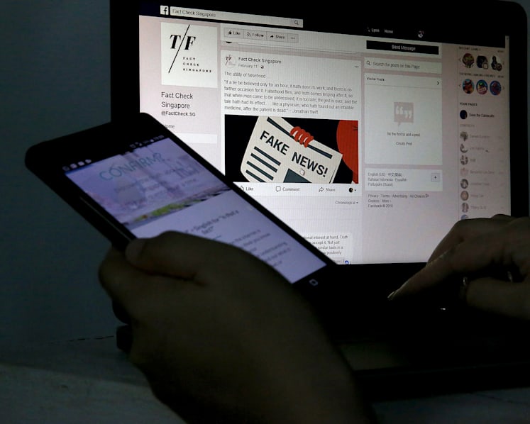 Countering fake news is more than just about having new laws, experts say