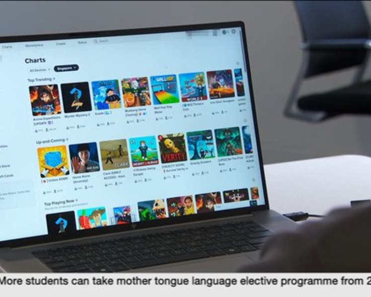 CNA Explains: CNA investigates online landscape leading to self-radicalisation in Singapore 