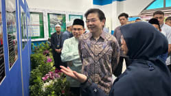 Related article image