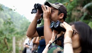 Window Into The Wild - Part 2: Protecting Wildlife