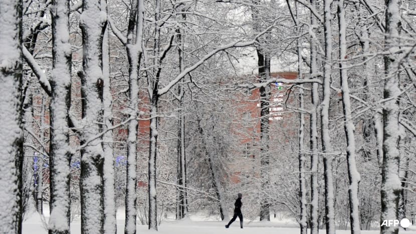 More snowdrops, less ice: Russia's famed winter has lost its bite this year More snowdrops, less ice: Russia's famed winter has lost its bite this year