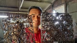Related article image