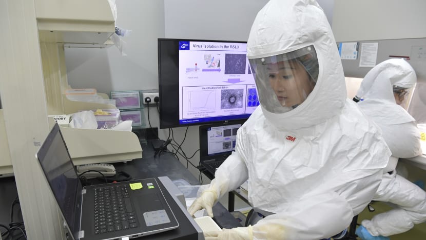 S$90m upgrade for DSO biosafety lab to deal with threats worse than Covid-19: Ng Eng Hen