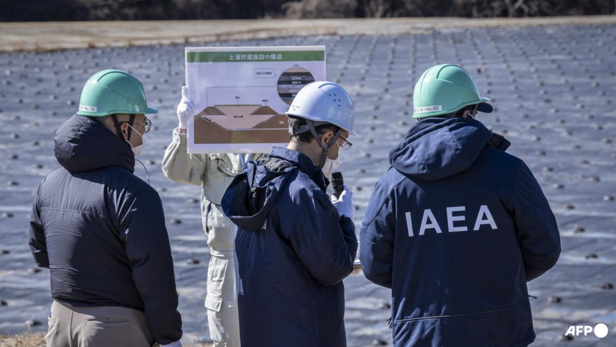 UN watchdog chief visits Fukushima as Japan returns to nuclear power