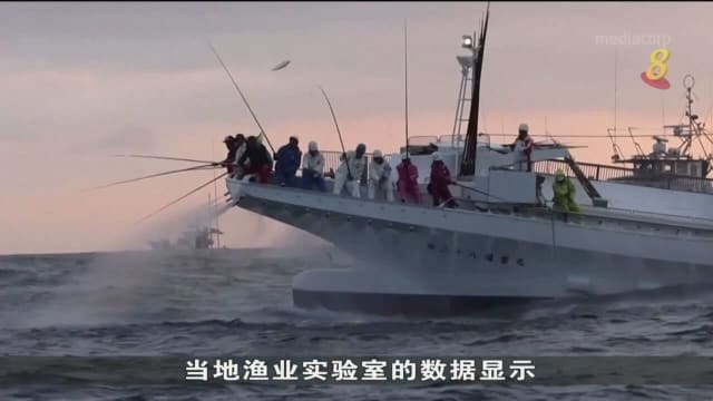 山葵产量因气候变化大减 日本芥末或绝迹餐桌？