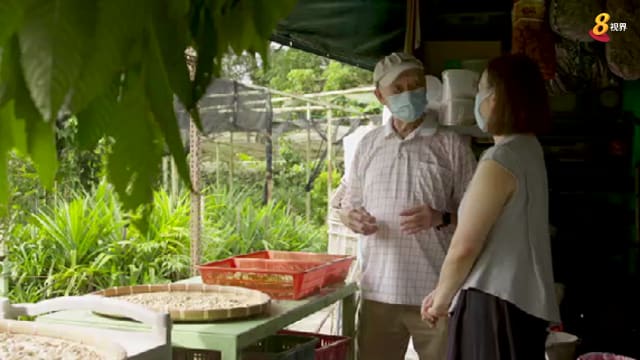 晨光|玩物壮志：草药达人 乐于分享草药知识