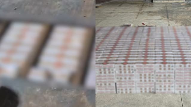 企图走私超2200条漏税烟 48岁马国男子被捕