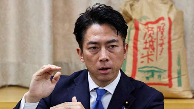 日媒：农林水产部长小泉进次郎将角逐自民党总裁