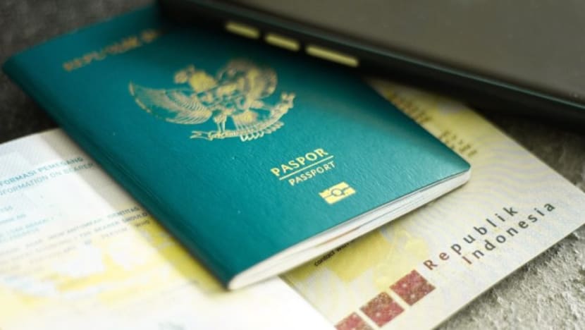 Luhut: Indonesia pertimbangkan beri kewarganegaraan ganda bagi Diaspora Indonesia Luhut: Indonesia pertimbangkan beri kewarganegaraan ganda bagi Diaspora Indonesia
