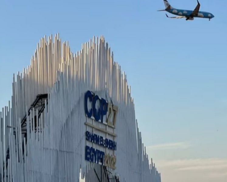 Aviation sector needs to align economic goals with environmental responsibilities: Experts