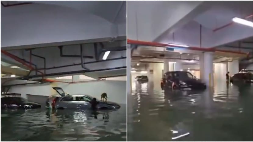 Flooding at condominium car park at Balmoral Crescent not caused by rainfall: PUB