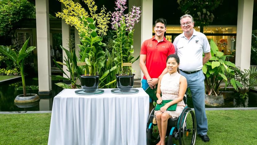 Orchids named after Joseph Schooling, Yip Pin Xiu Orchids named after Joseph Schooling, Yip Pin Xiu