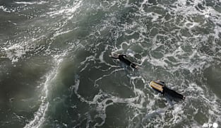 El Nino set to be strong, UN warns