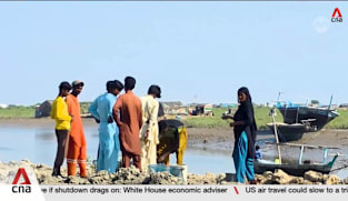 Rising seawater intruding into Indus delta, impacting coastal communities