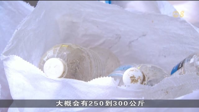 适逢世界海洋日 数百名义工到东海岸公园清理垃圾