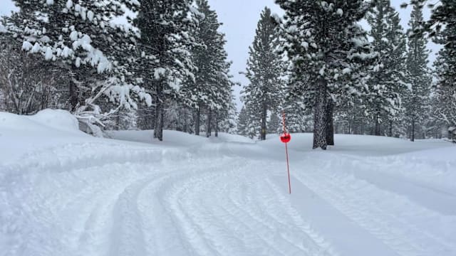 奥地利暴风雪夺五命 多地停电交通受阻