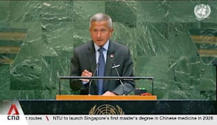 Singapore urges limit to vetoes by permanent members, more inclusive UN