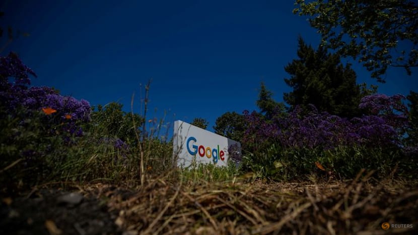 Exclusive-Google deal makes Amazon reforestation its top source of carbon removal credits