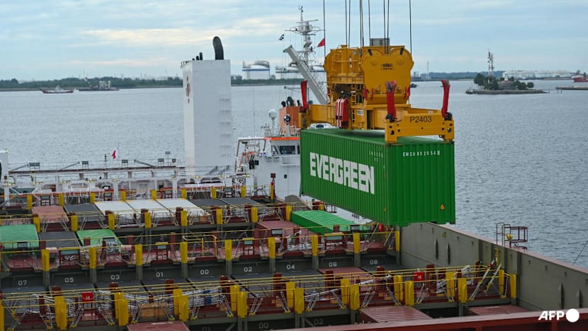 Singapore firm rejects US$1 billion Sri Lankan pollution damages