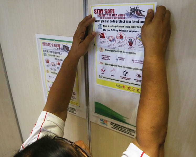 How the Ministry of Health responded to initial cases of Zika