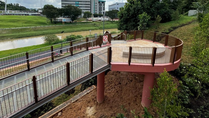 Ulu Pandan park connector fully reopens after Clementi landslide reconstruction works Ulu Pandan park connector fully reopens after Clementi landslide reconstruction works