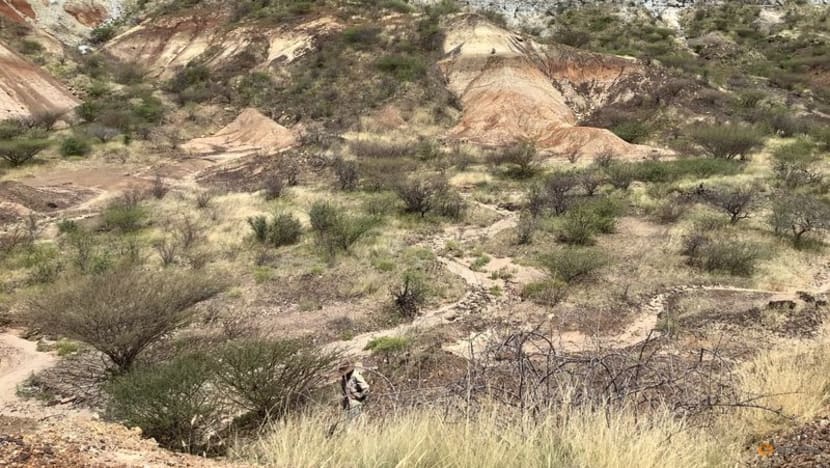 Ancient proteins found in fossils up to 24 million years old Ancient proteins found in fossils up to 24 million years old