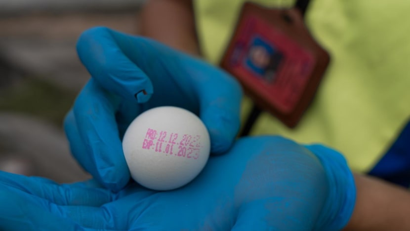 Malaysia to allow temporary import of chicken eggs to overcome shortage
