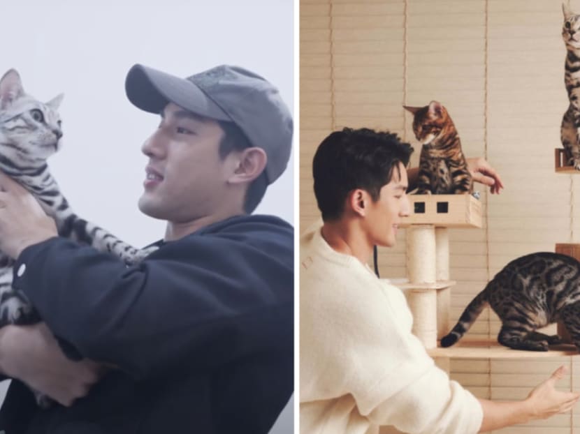 Ayden Sng found out a spirit would occasionally visit his house 'cos his 3 cats keep purring at the ceiling