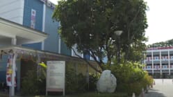 Related article image