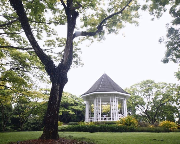 NParks to study effects of exercise, green spaces
