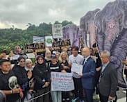 Malaysia’s anti-graft agency launches probe into elephants’ transfer to Japan zoo