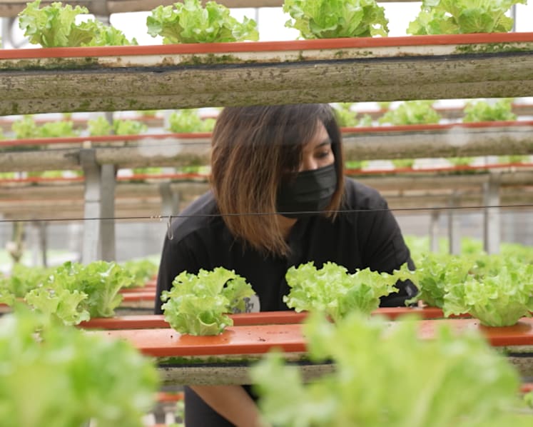 CNA Green Plan Challenge series to debut on Apr 4, promote sustainable living 
