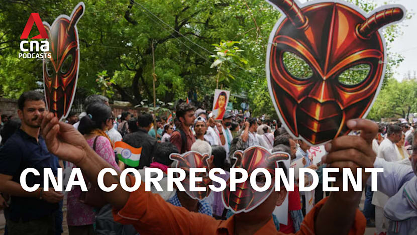 CNA Correspondent - The 'cockroach' party that shook Indian politics