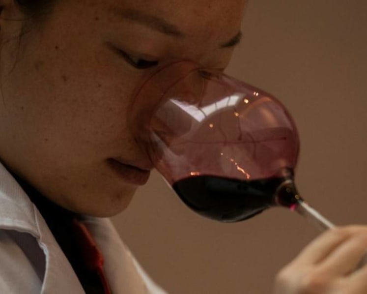 Commentary: Can China produce grape wine as fine as the French?