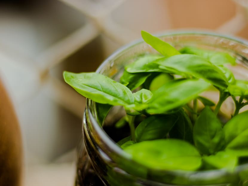 Finding joy in 2020? It’s not such an absurd idea, really