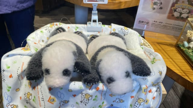 大熊猫龙凤胎诞生满百天 香港海洋公园举行百日庆