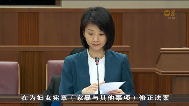 政府加强保护家暴受害者 国会议员对法案程序表关注