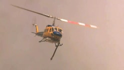 Related article image