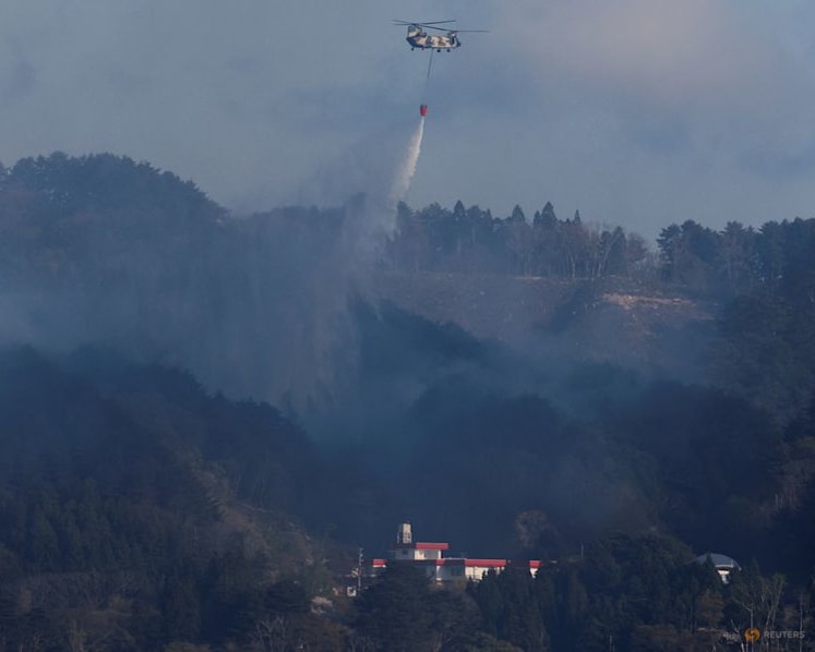Japan deploys 1,400 firefighters to battle raging wildfires in the north