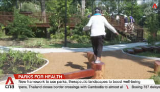 New framework to use parks, therapeutic landscapes to boost well-being 
