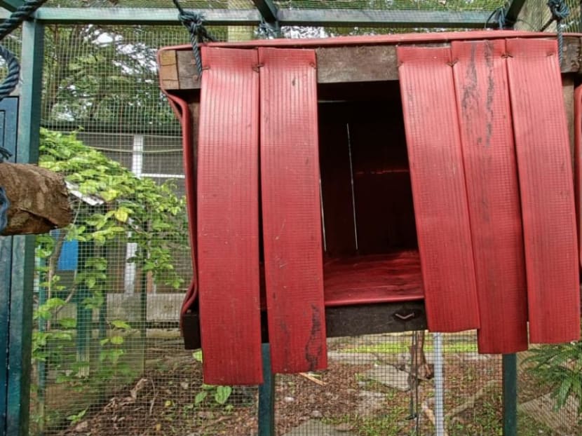 The repurposed firefighting hoses are extremely durable and versatile, allowing them to withstand use by rescued animals, said Mr Kalai Vanan Balakrishnan, co-chief executive officer at the Animal Concerns Research and Education Society (Acres).